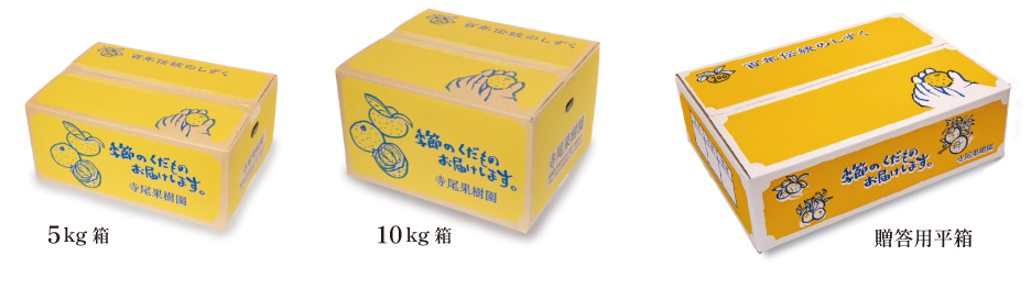 5kg箱、10kg箱、贈答用平箱の写真