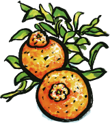 でこぽんのイラスト